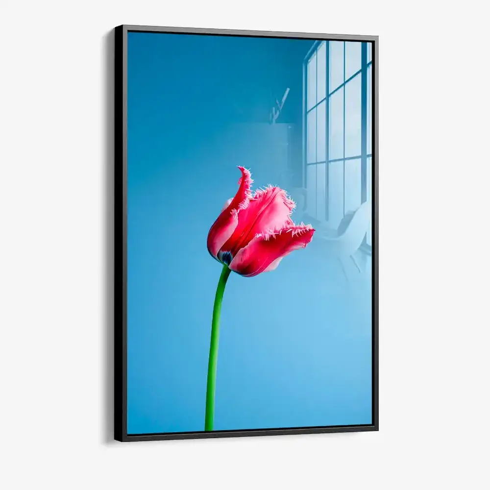 Singular Tulip – Glas