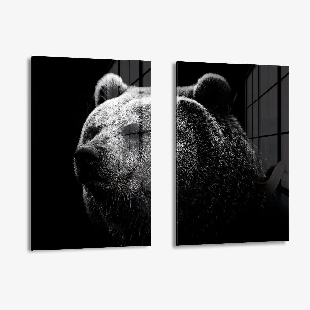 Bundle: "Big Bear" (2x) – Glas