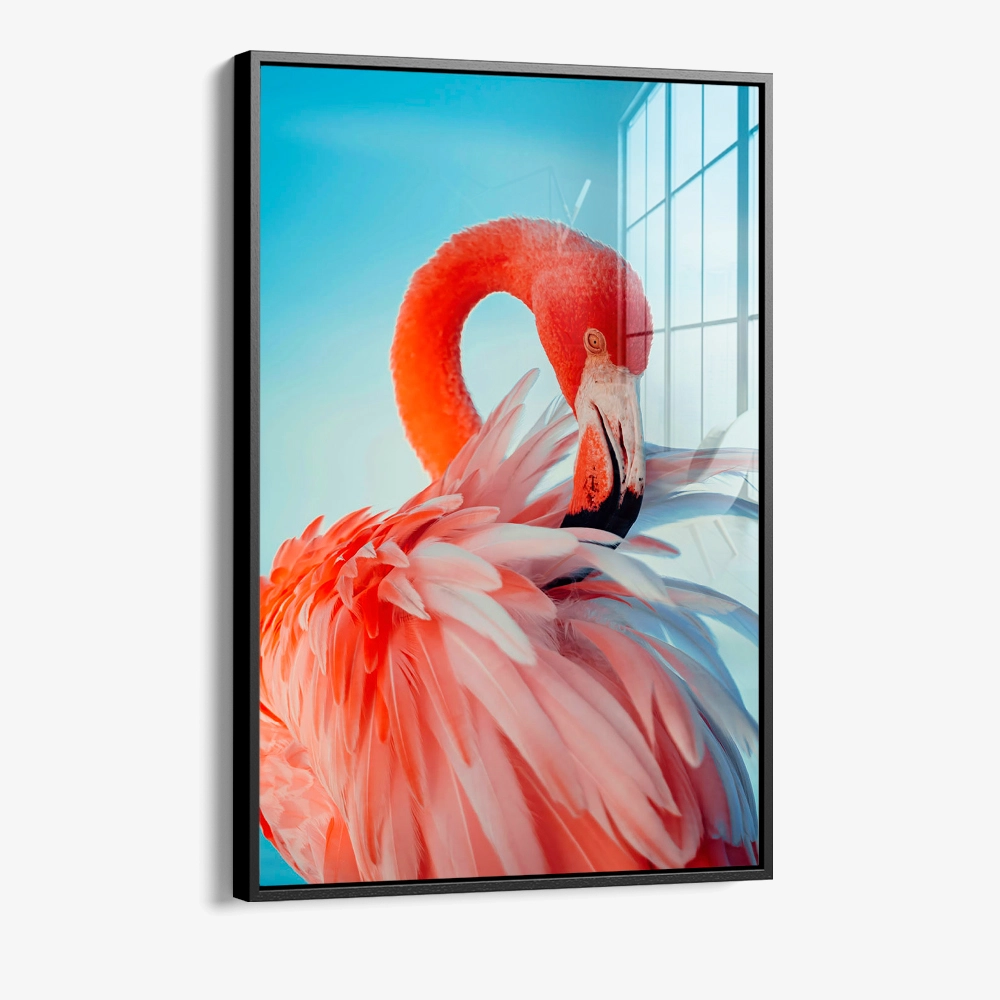 Featherframe – Glas