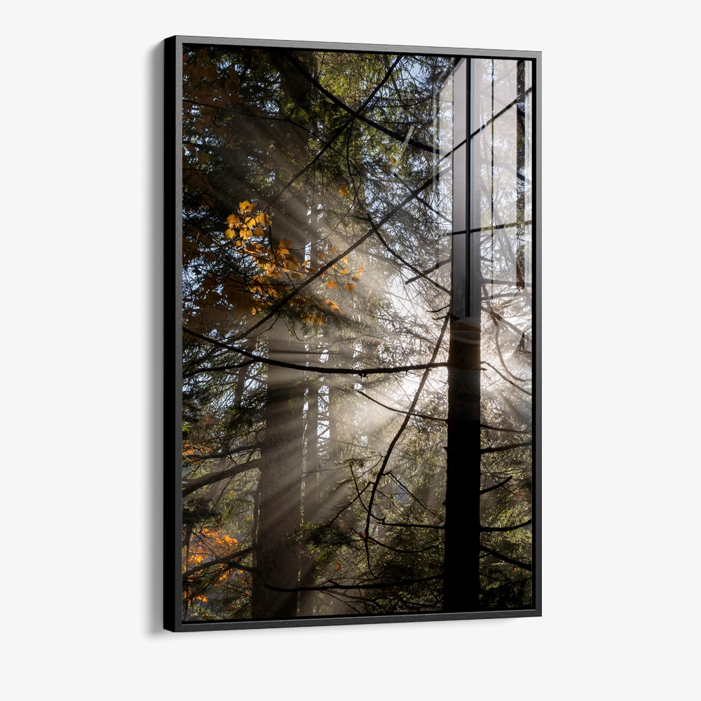 Line of Light – Glas