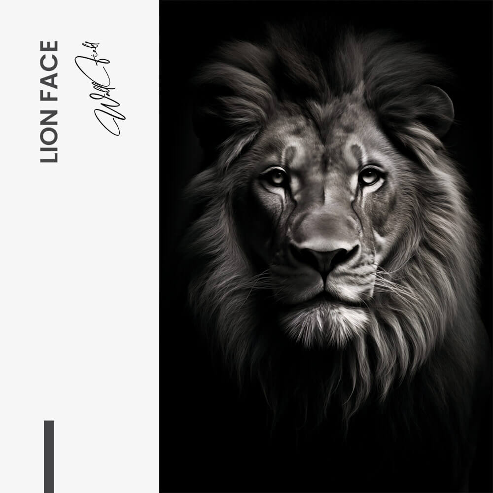 "Lion Face"