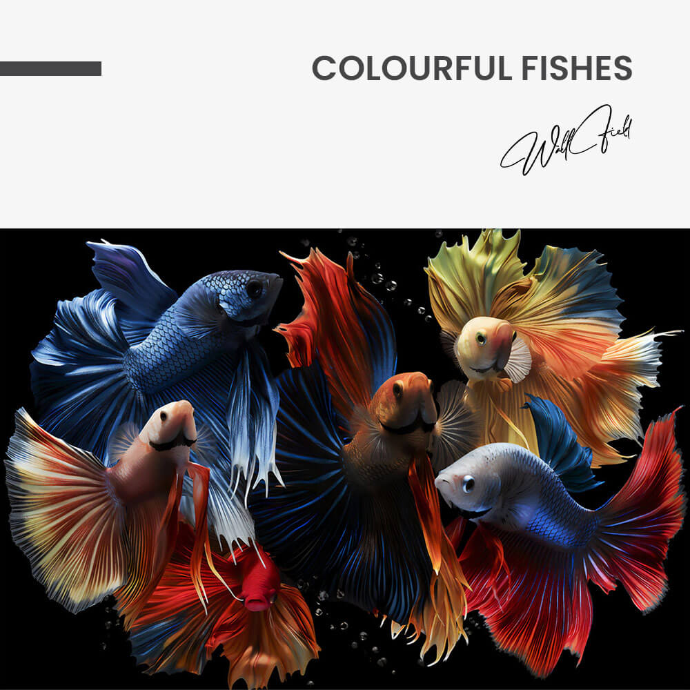 Colourful Fishes – Glas