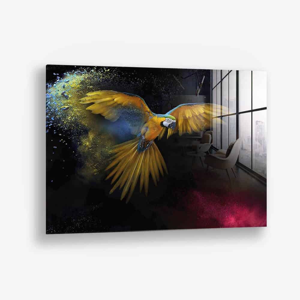 Color Parrot – Glas
