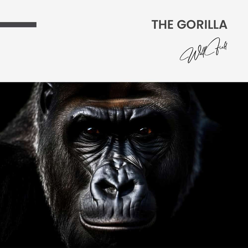The Gorilla – Glas