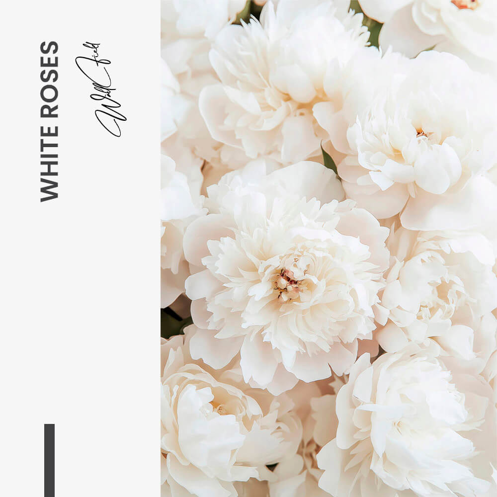 "White Roses"