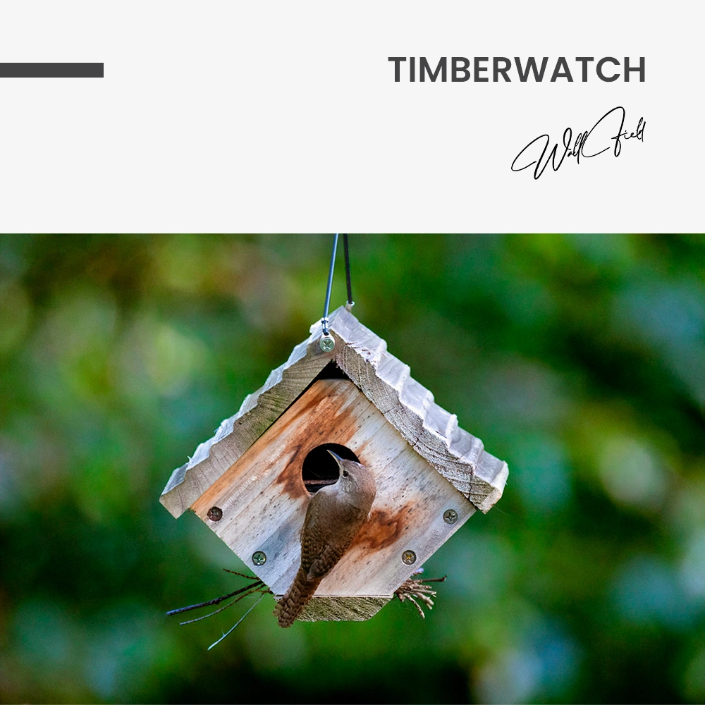 Timberwatch – Glas