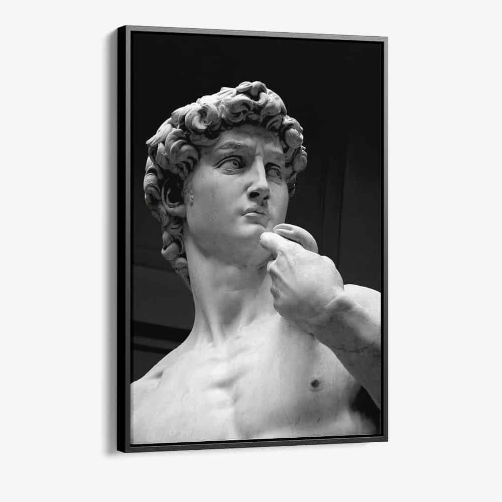 "David of Michelangelo"