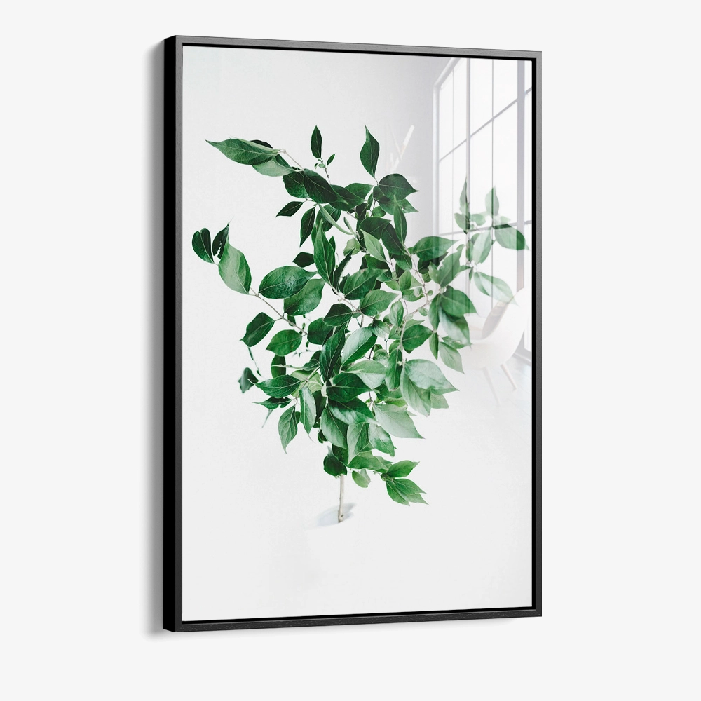 Green Construct – Glas