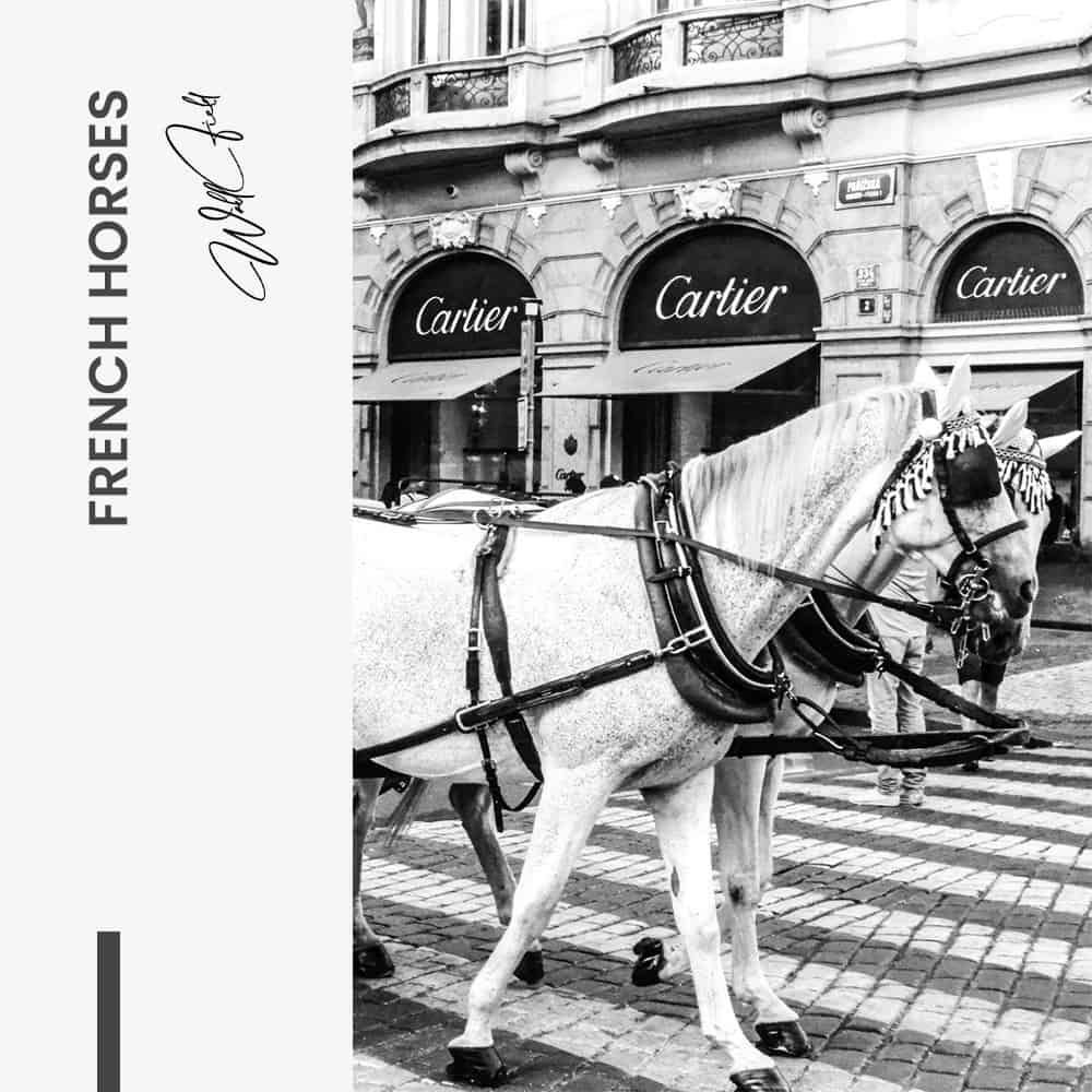 French Horses – Glas
