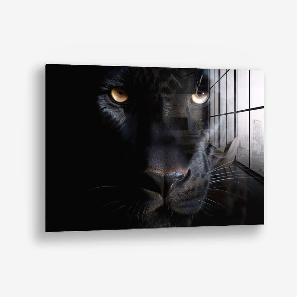 The Black Panther – Glas