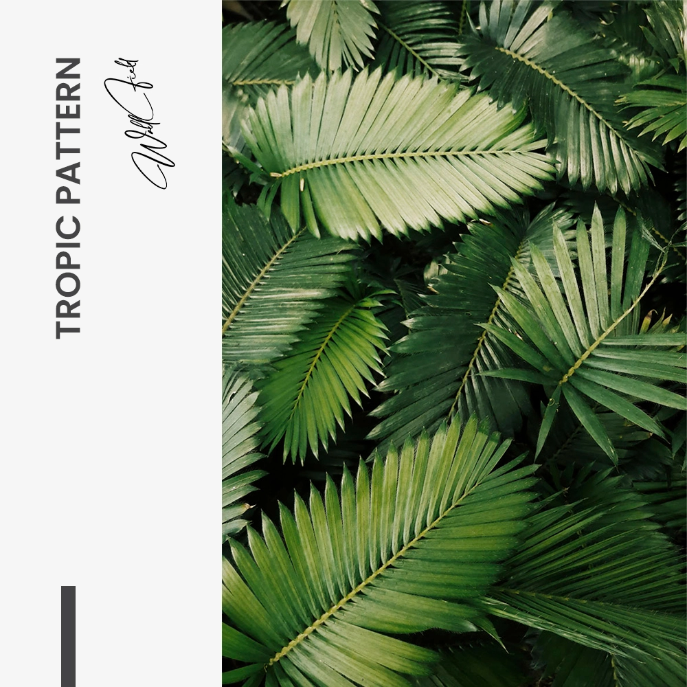 Tropic Pattern – Glas
