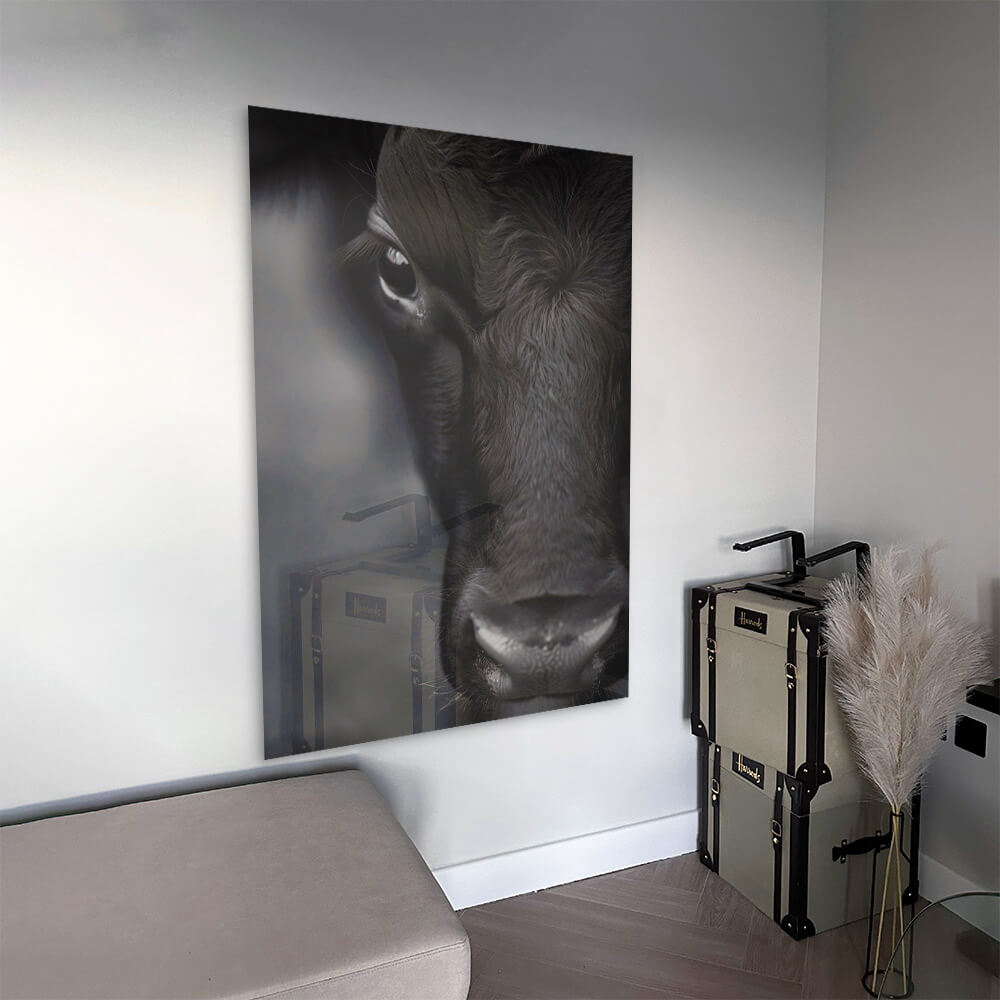 Cow Close-Up – Glas