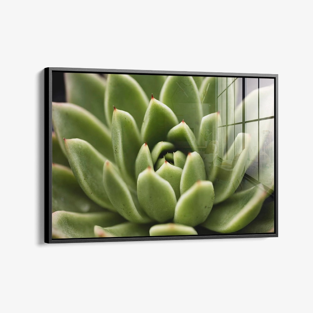 Thorn Array – Glas