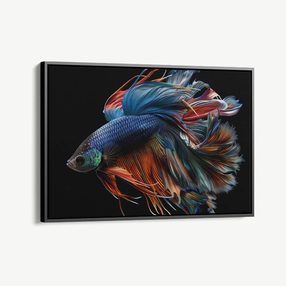 "Betta Fish"