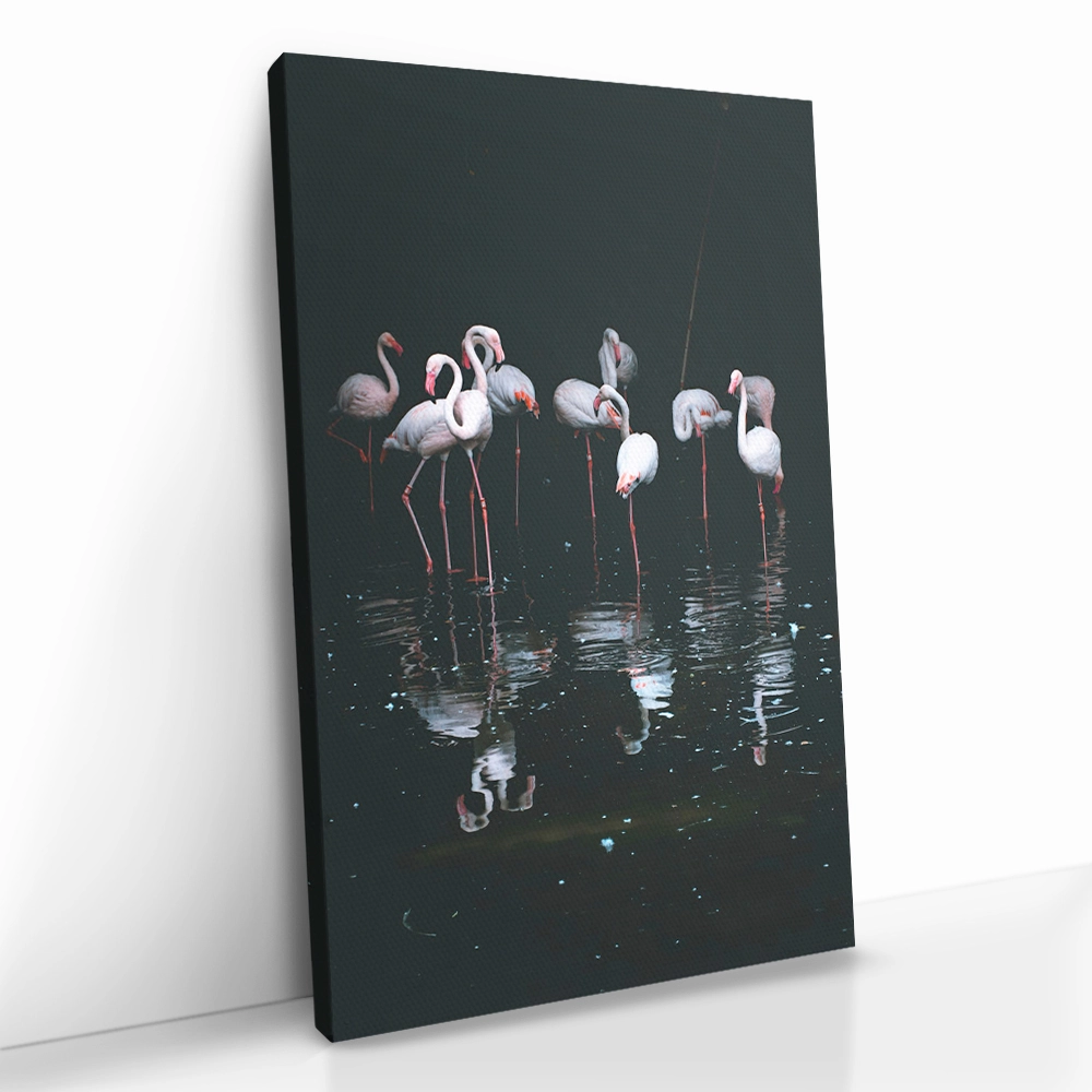 "Mirror Flock"