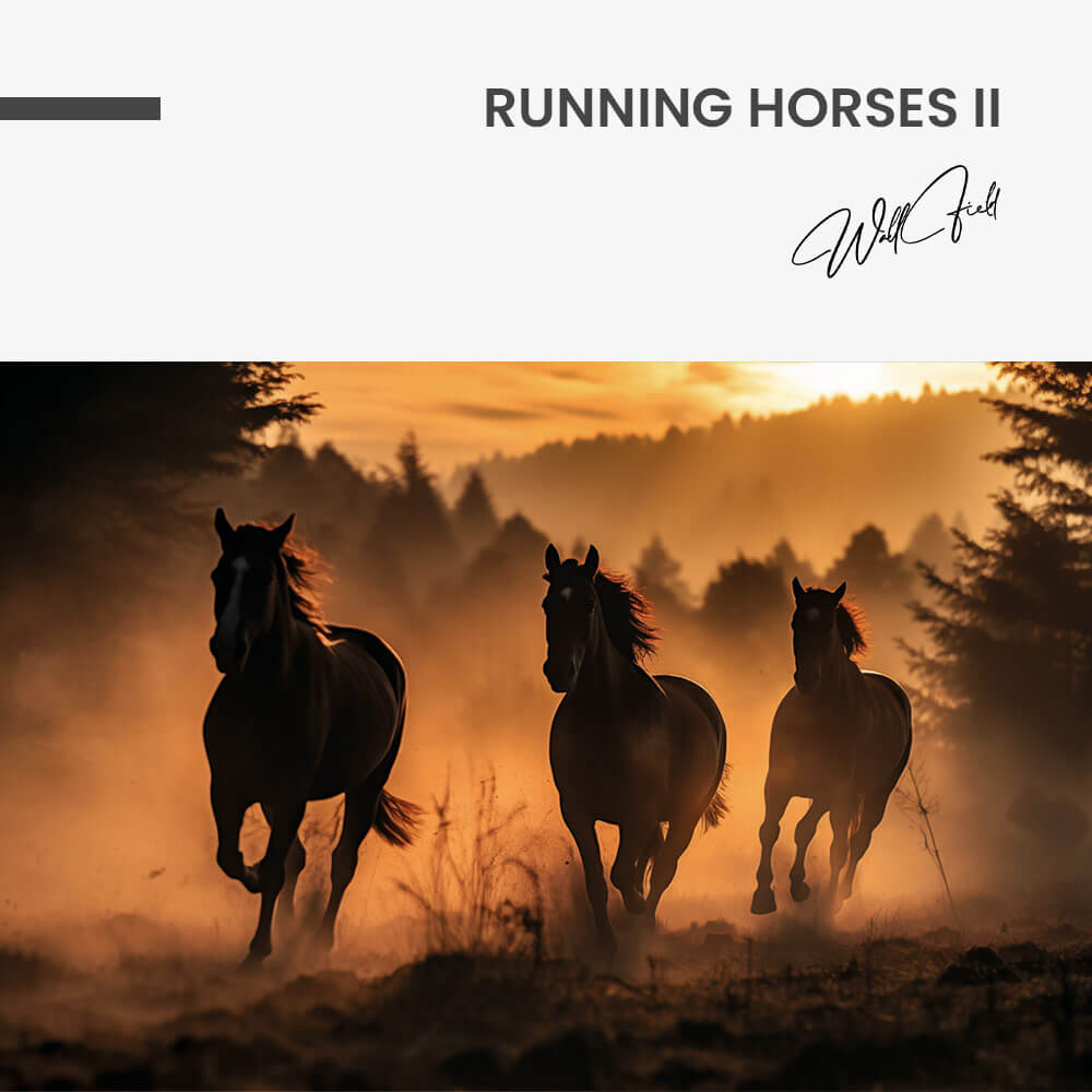 Running Horses II – Glas