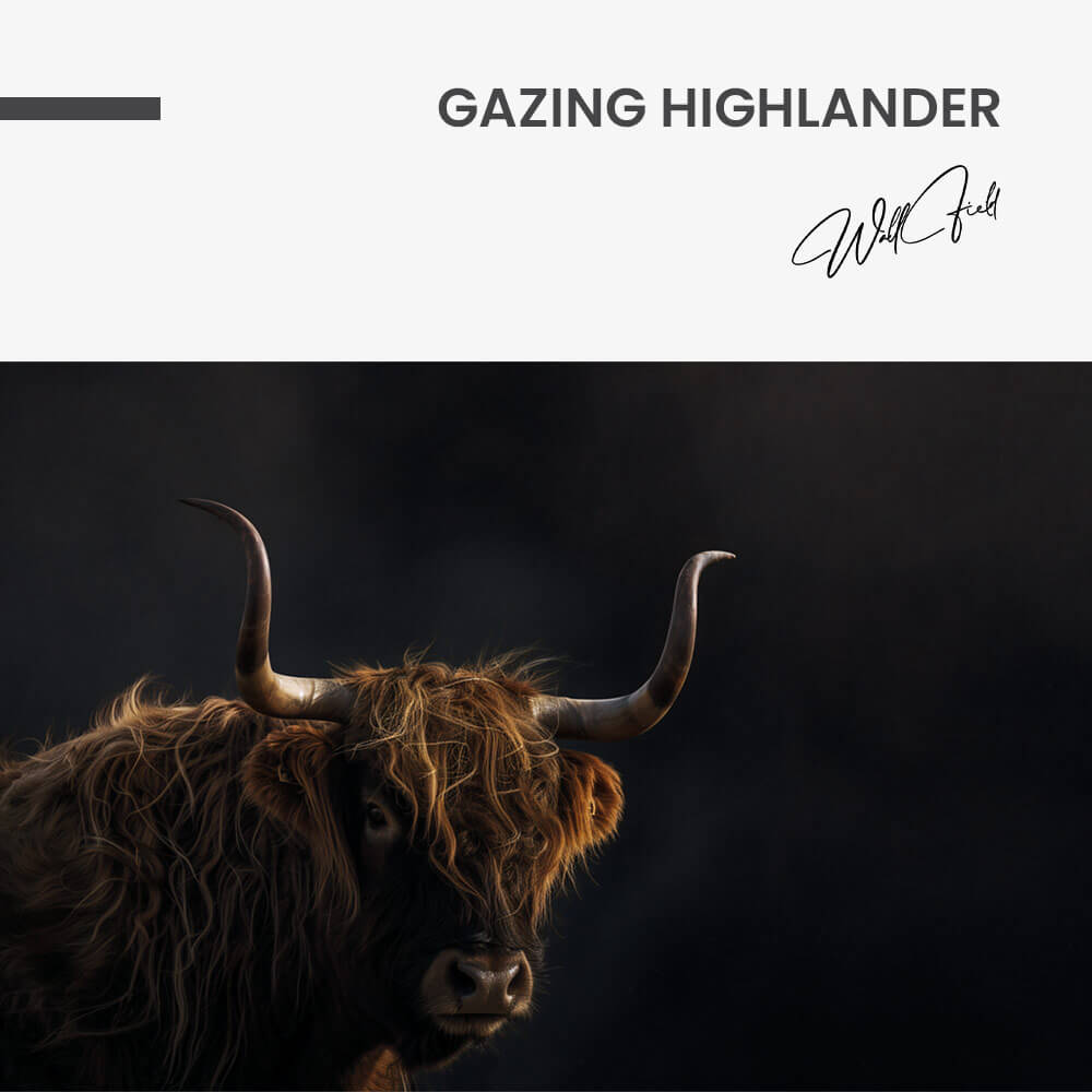 Gazing Highlander – Glas