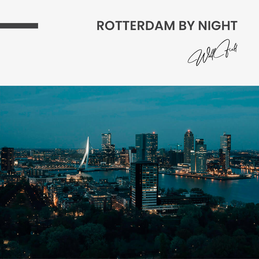 Rotterdam by Night – Glas
