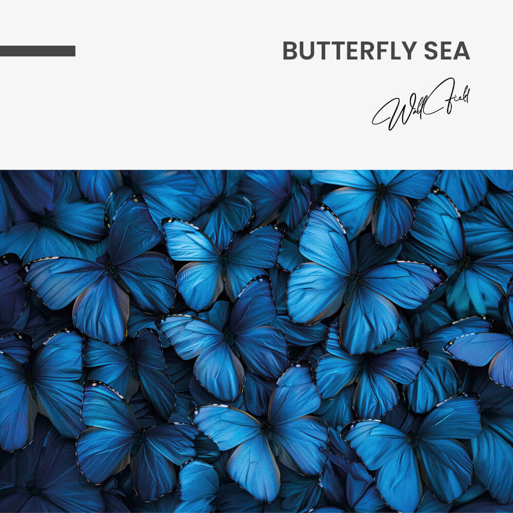 Butterfly Sea – Glas