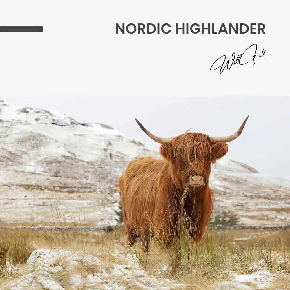 Nordic Highlander – Glas