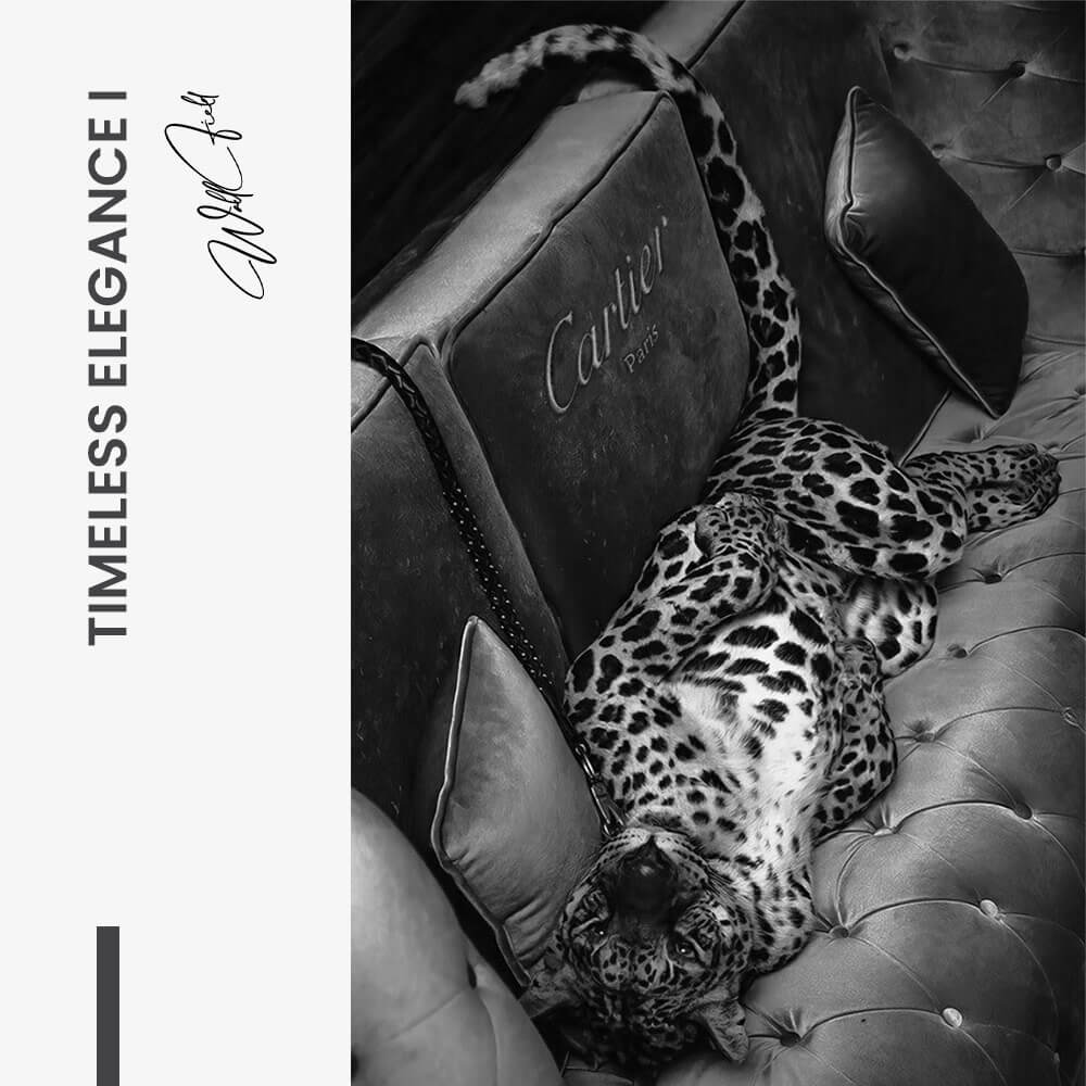 Bundle: "Timeless Elegance" (2x) – Glas