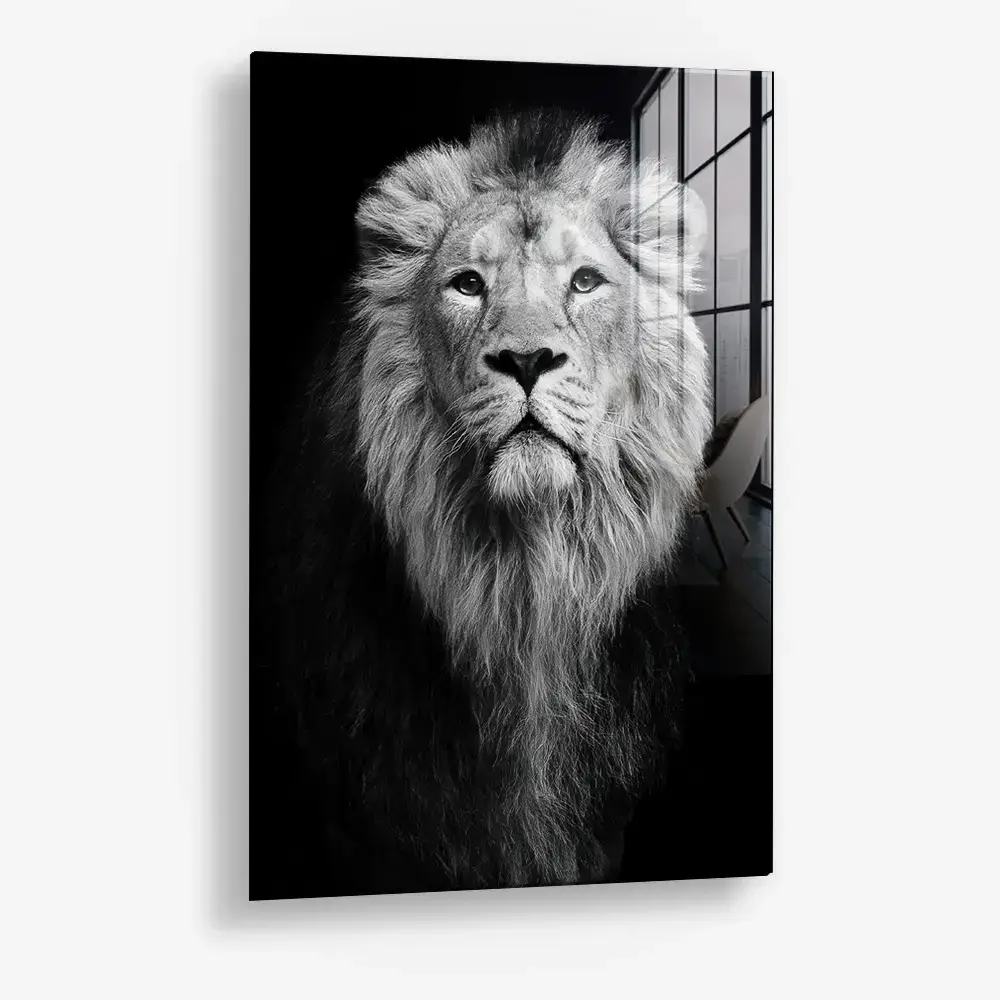 Safari III – Glas