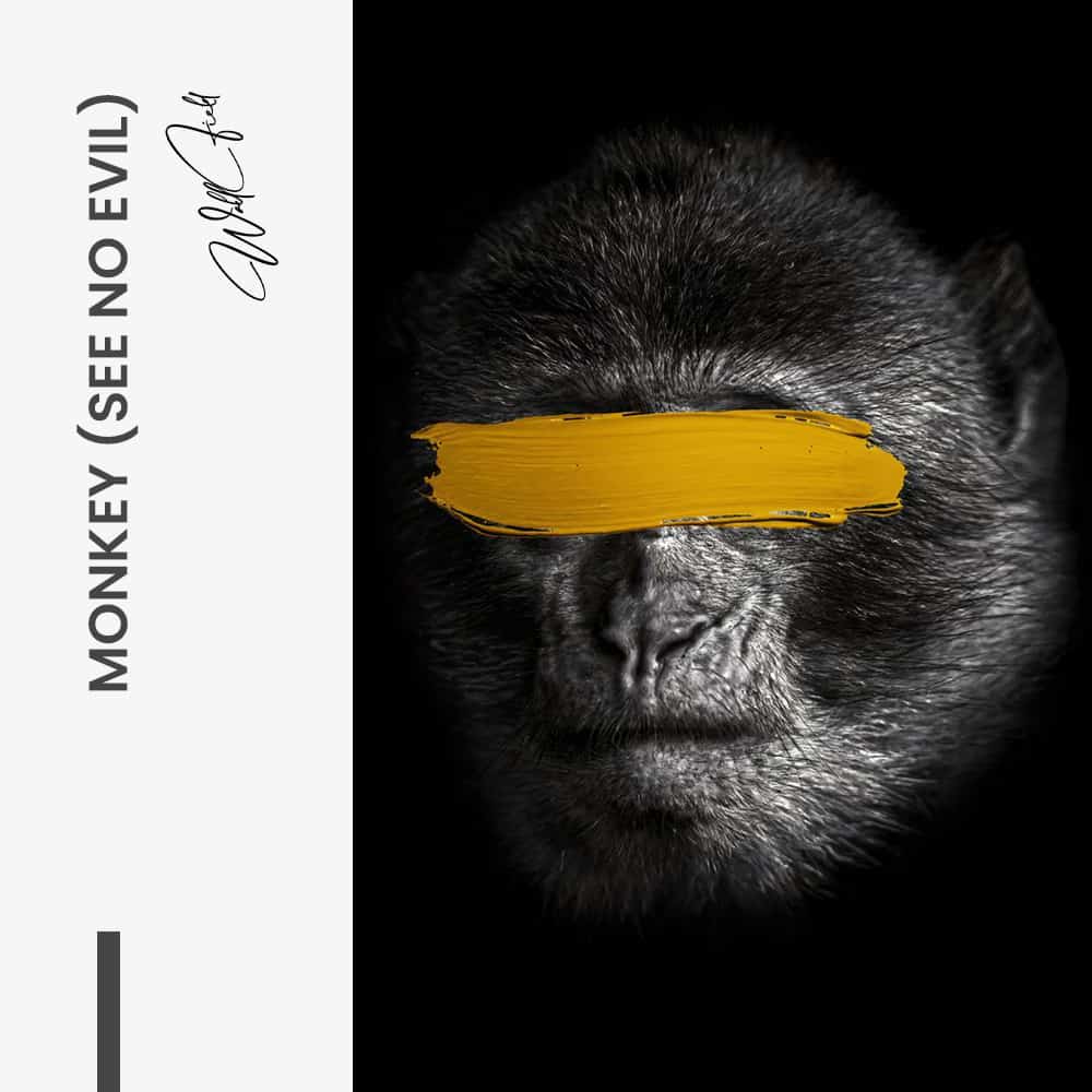 Bundle: “3 Wise Monkeys” (3x) - Glas