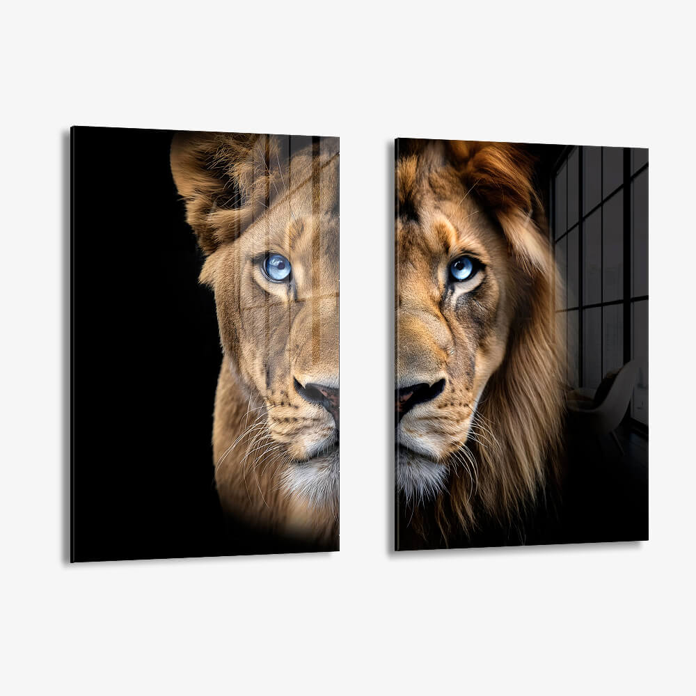Bundle: "Blue Eyed Lions" (2x) – Glas