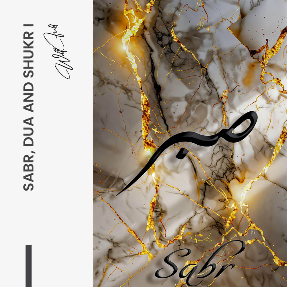 Bundle: "Sabr, Dua & Shukr" – Glas (3x)