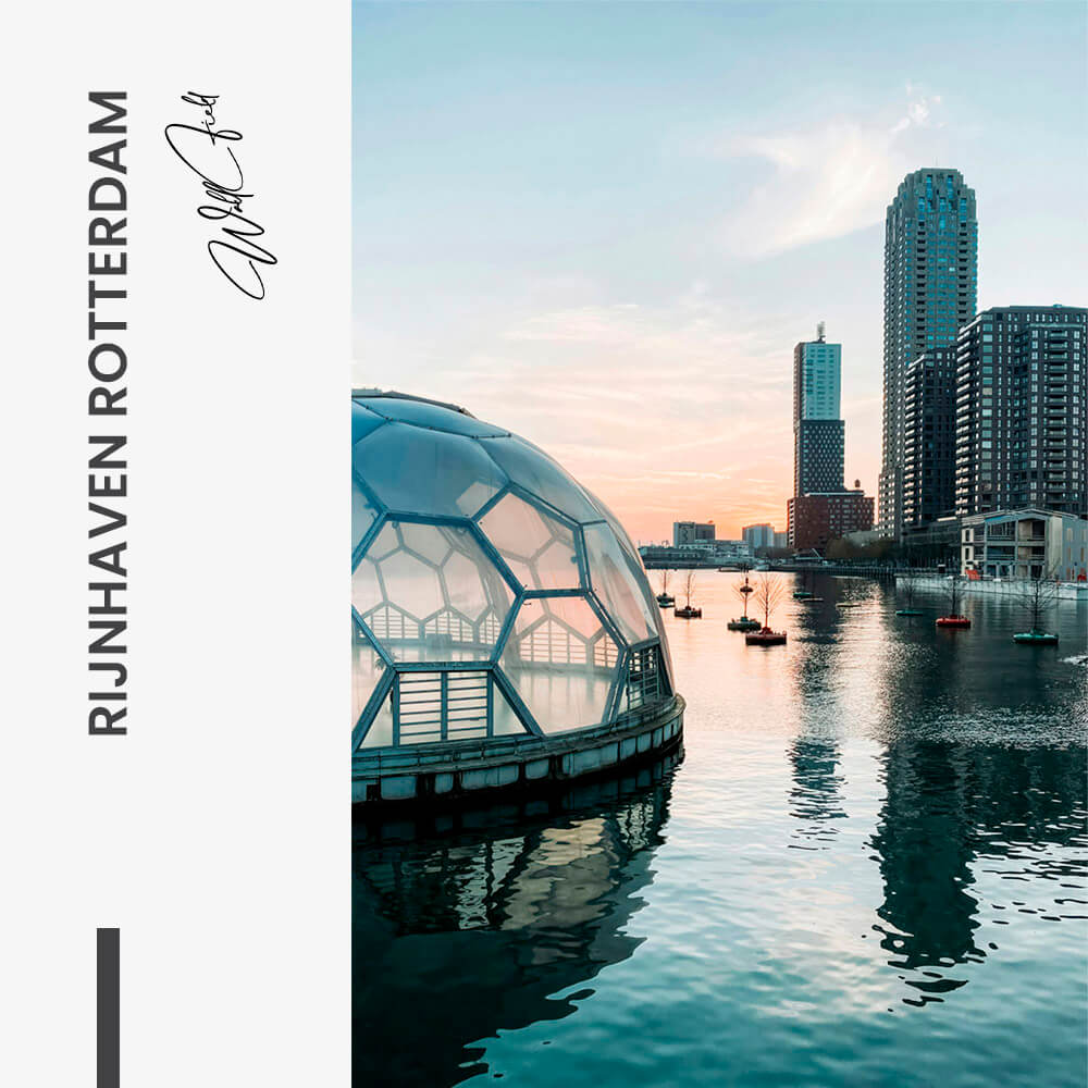 Rijnhaven Rotterdam – Glas