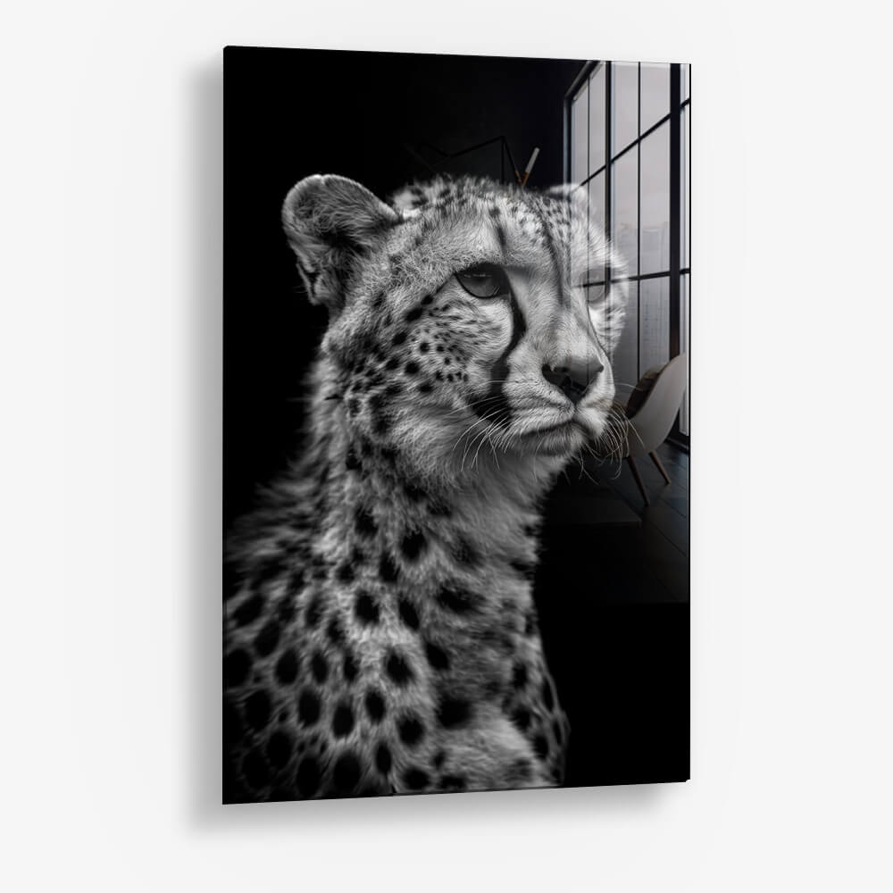 Cheetah's View – Glas