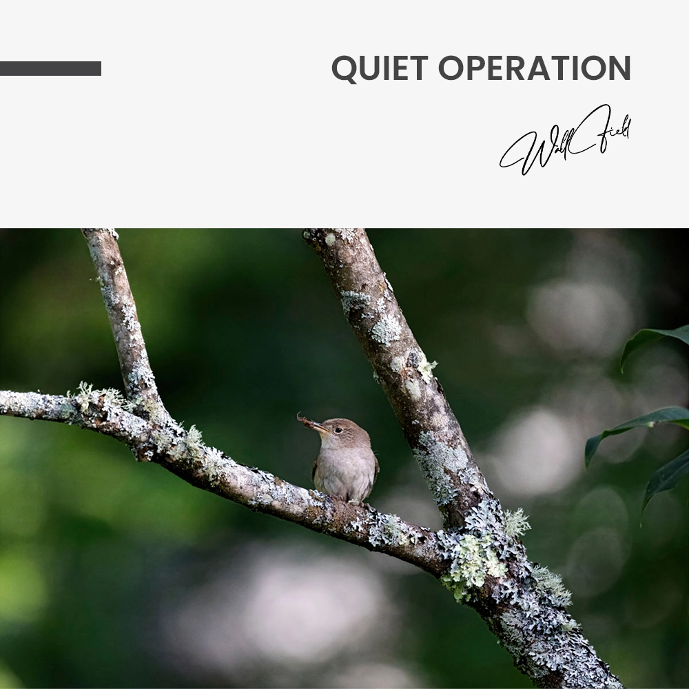 "Quiet Operation"