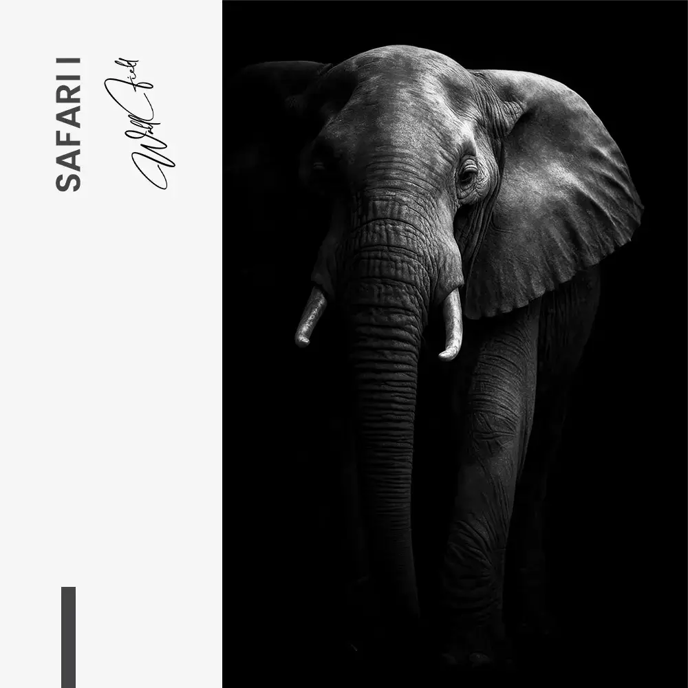 Safari I – Glas