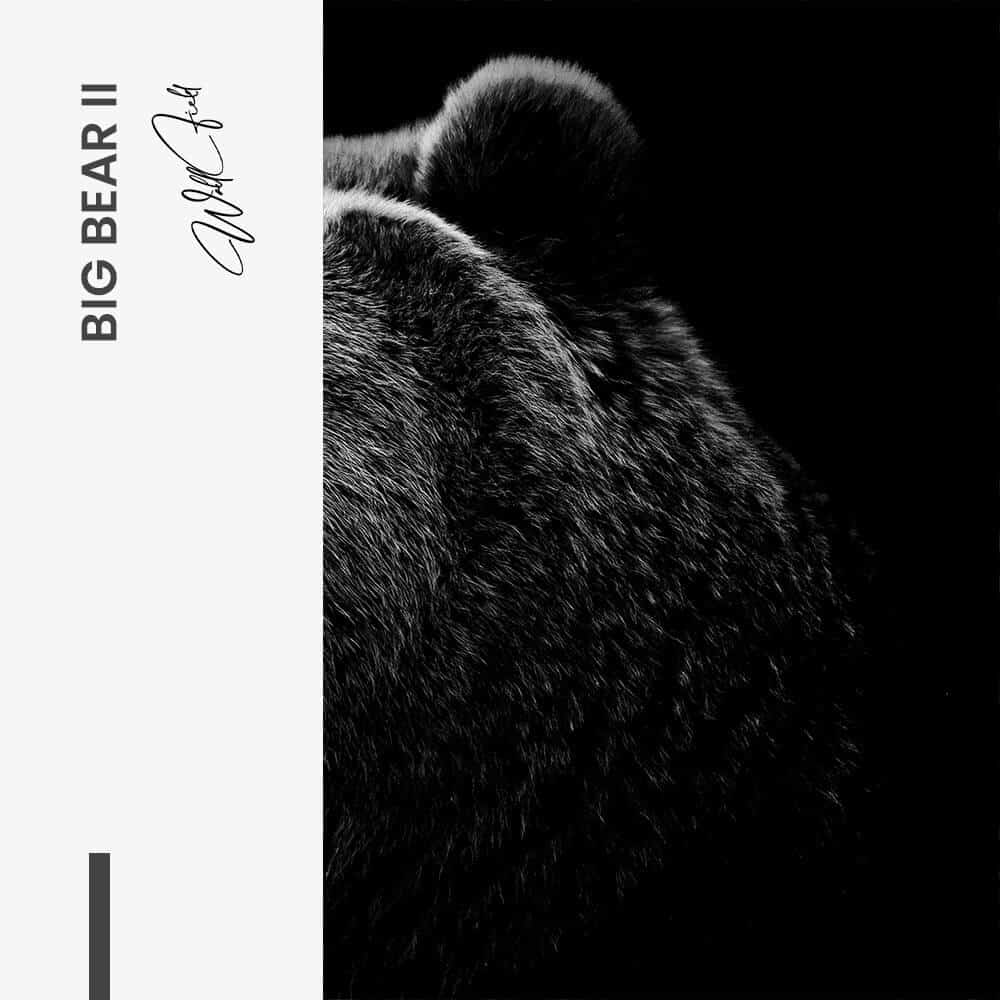 Bundle: "Big Bear" (2x) – Glas