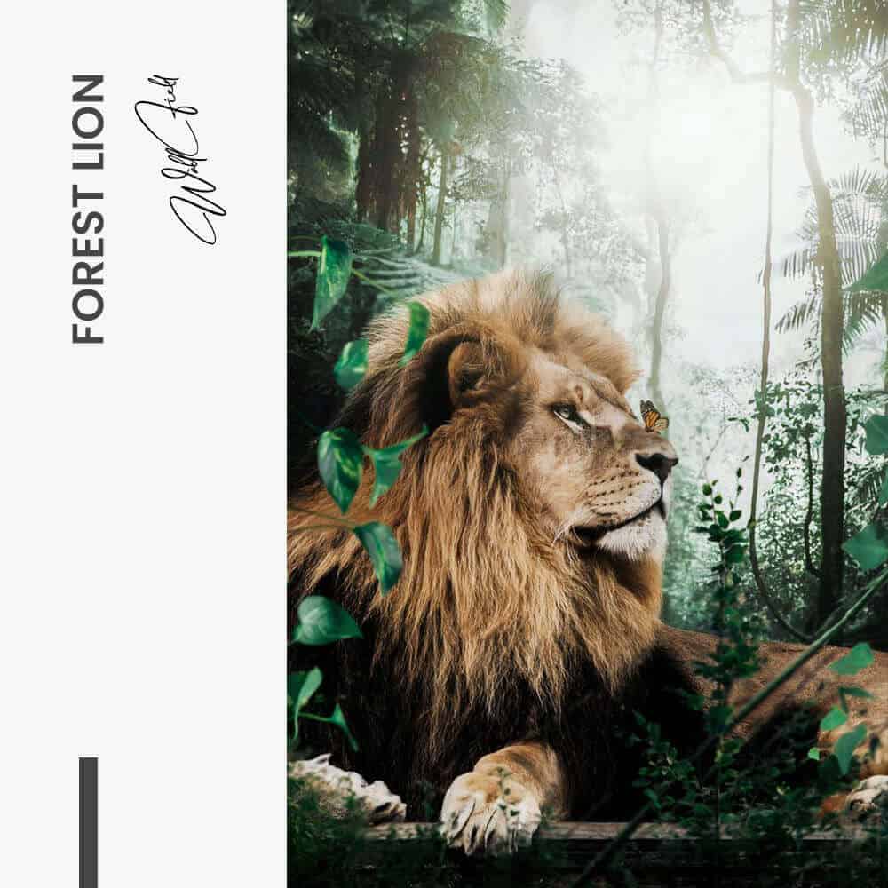 Forest Lion - Glas