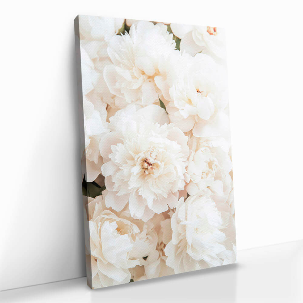 "White Roses"
