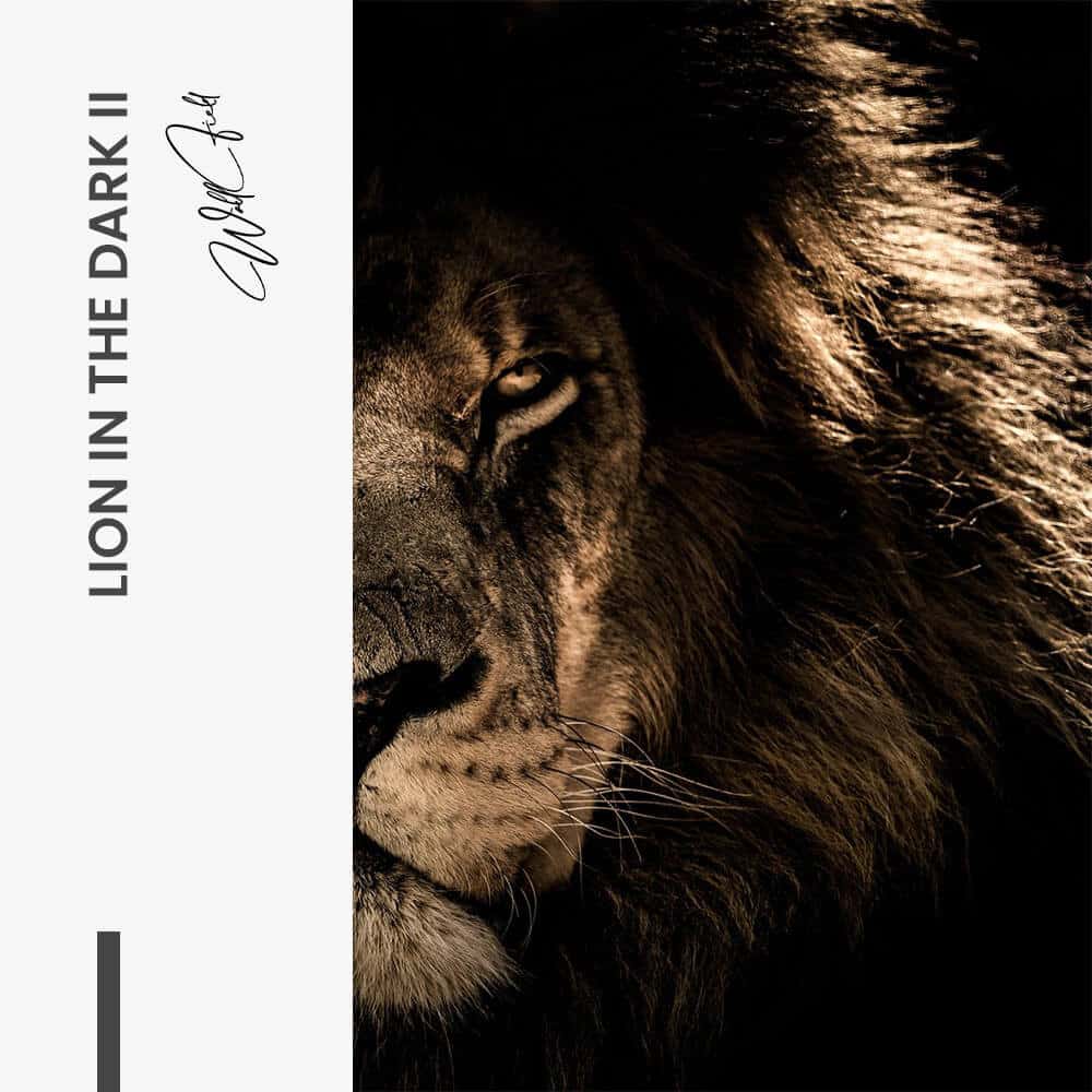 Lion in the Dark (2x) - Glas