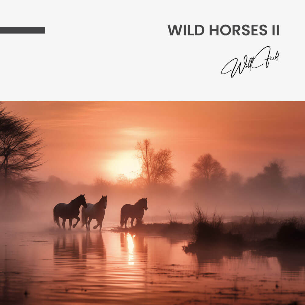 Wild Horses II – Glas