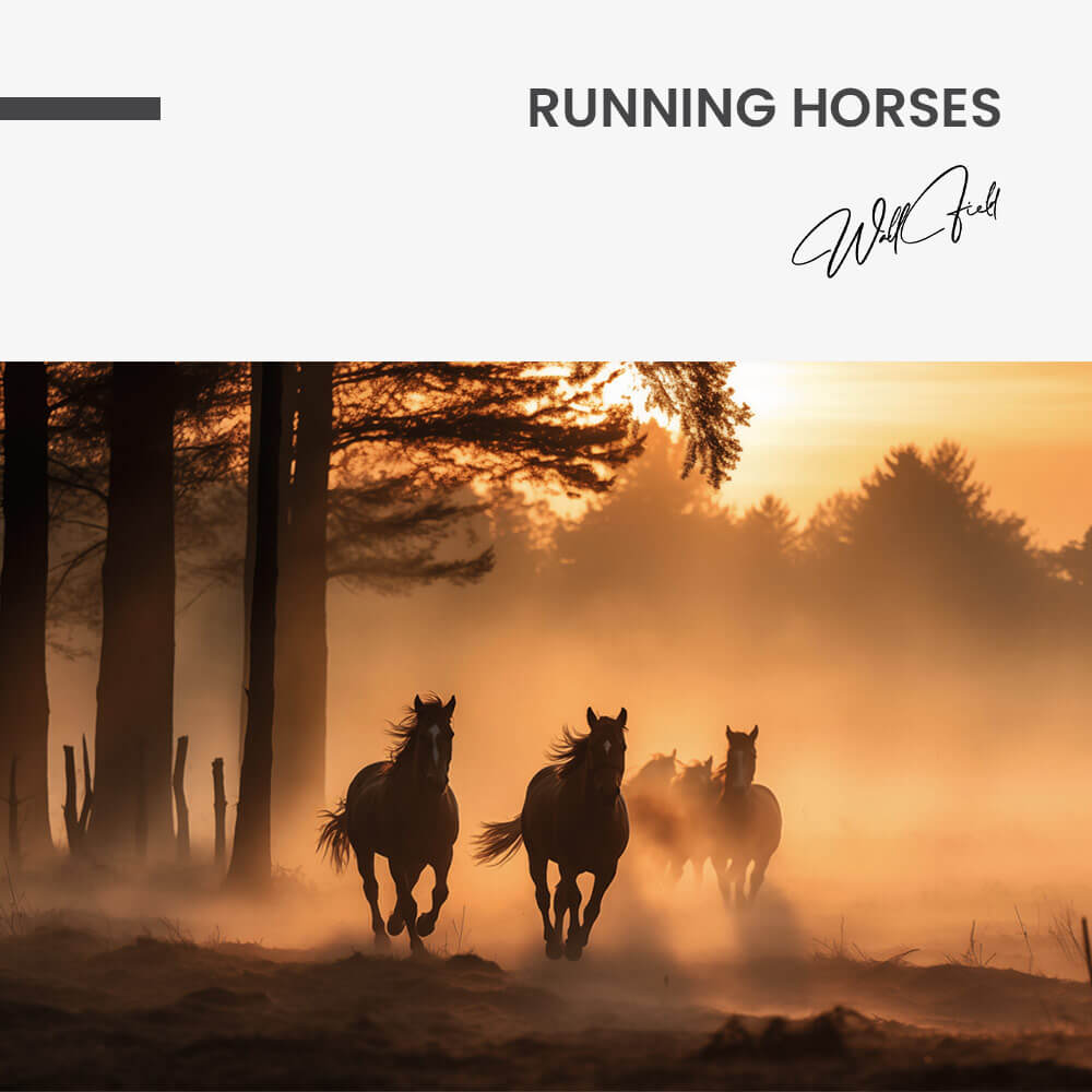 Running Horses – Glas