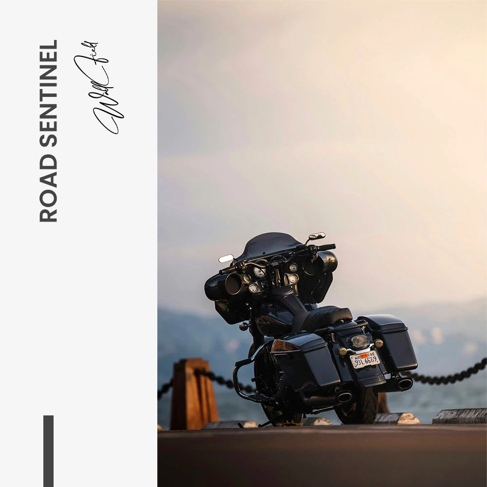 Road Sentinel – Glas