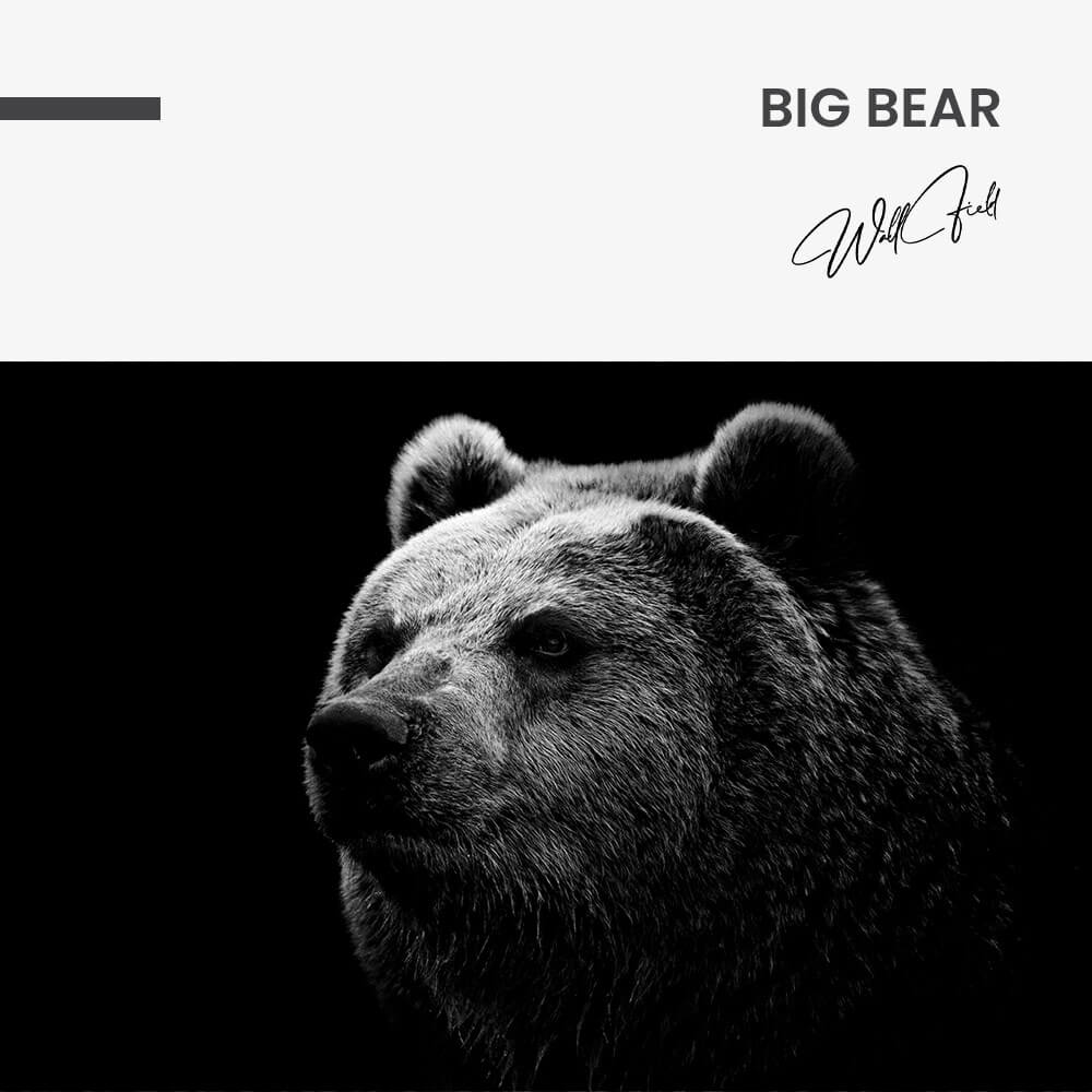 Big Bear – Glas