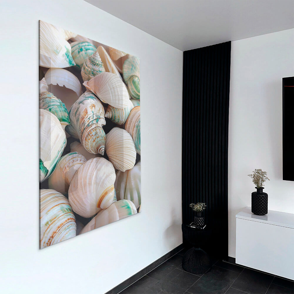 Sea Shell – Glas