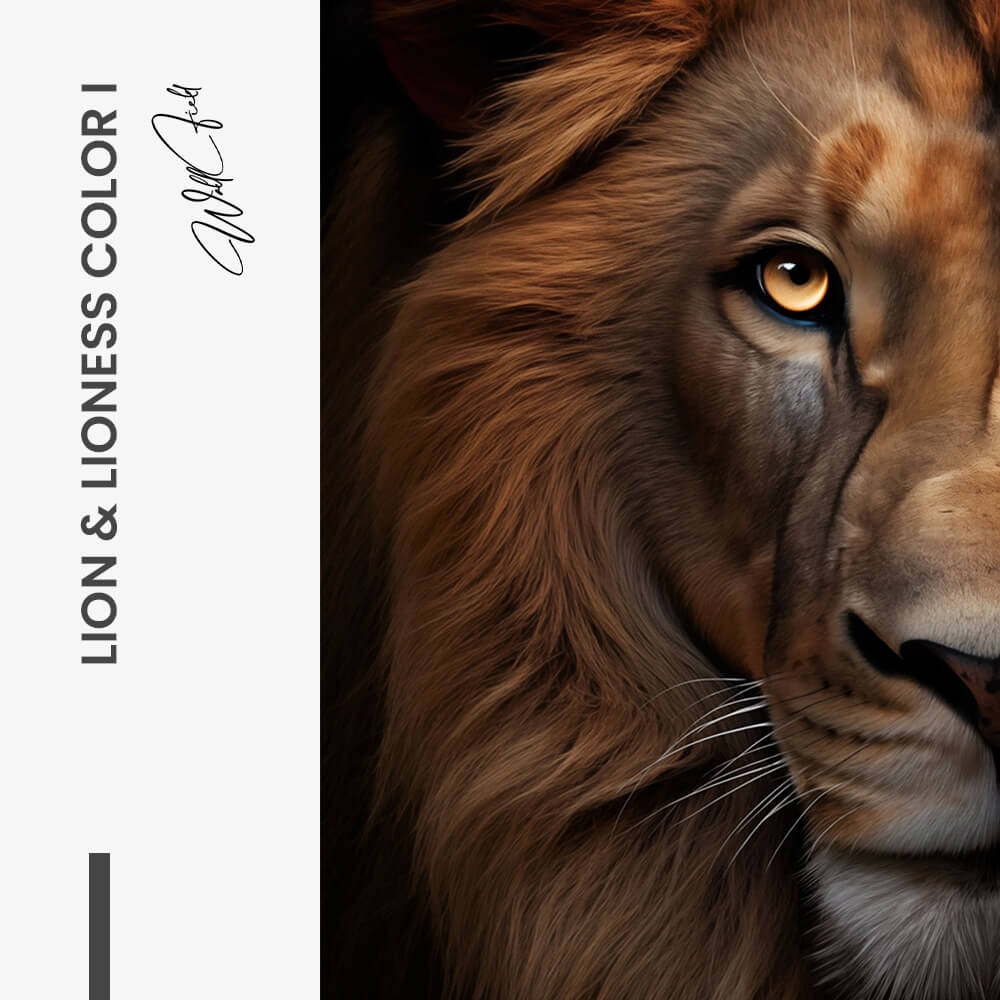 Bundle: "Lion & Lioness Color II" (2x)
