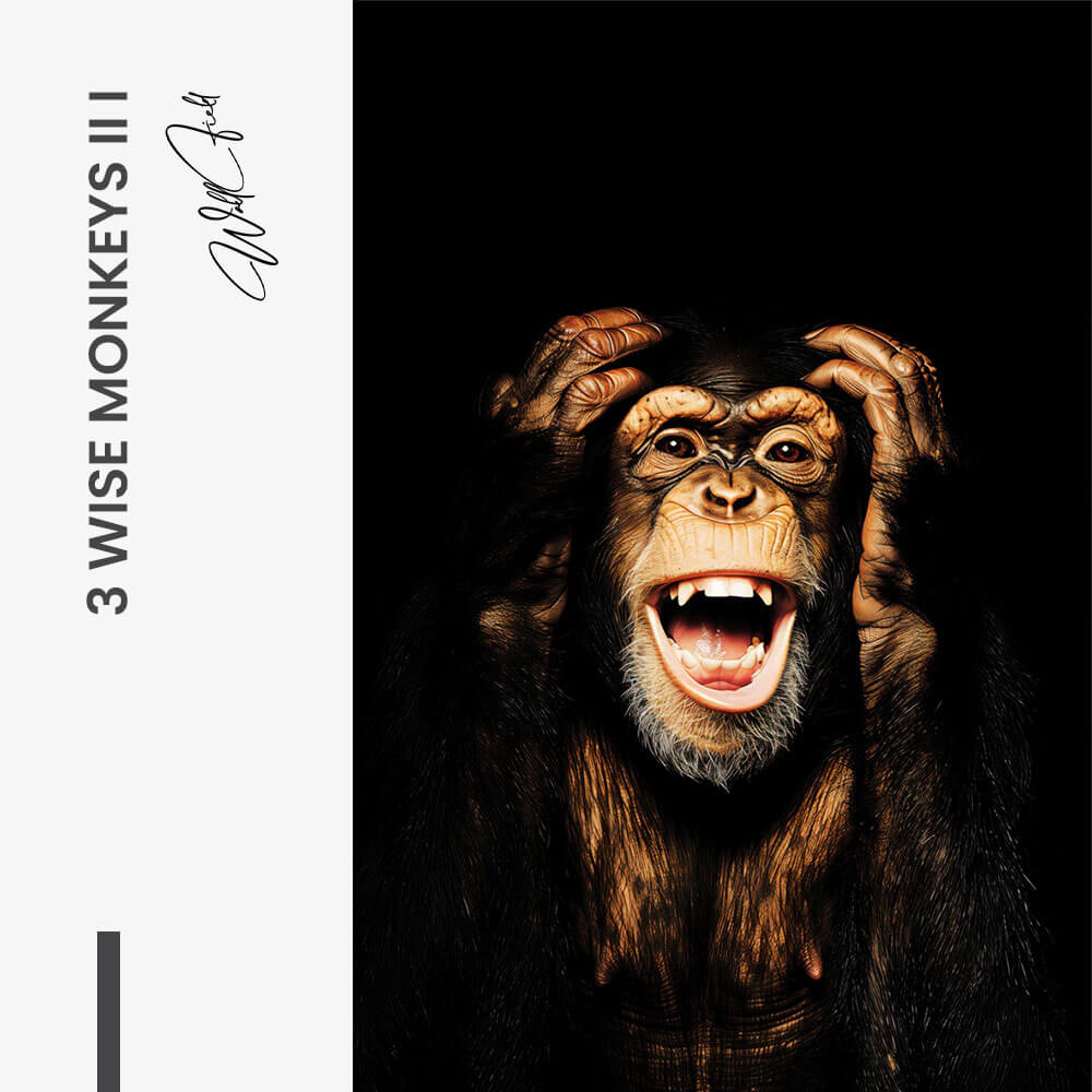 Bundle: "3 Wise Monkeys II" (3x)