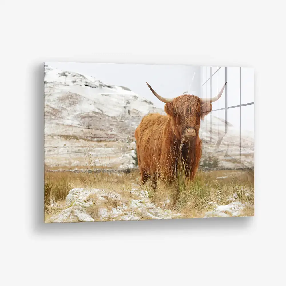 Nordic Highlander – Glas