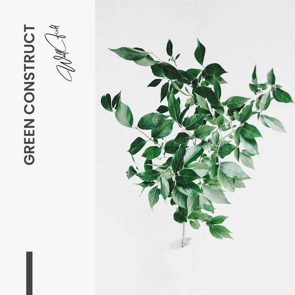 Green Construct – Glas