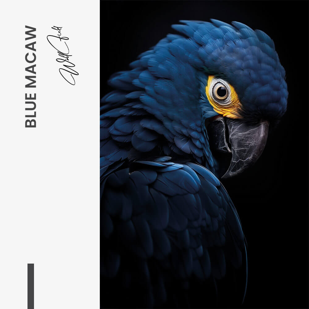 Blue Macaw – Glas