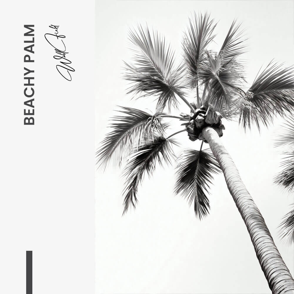 “Beachy Palm”