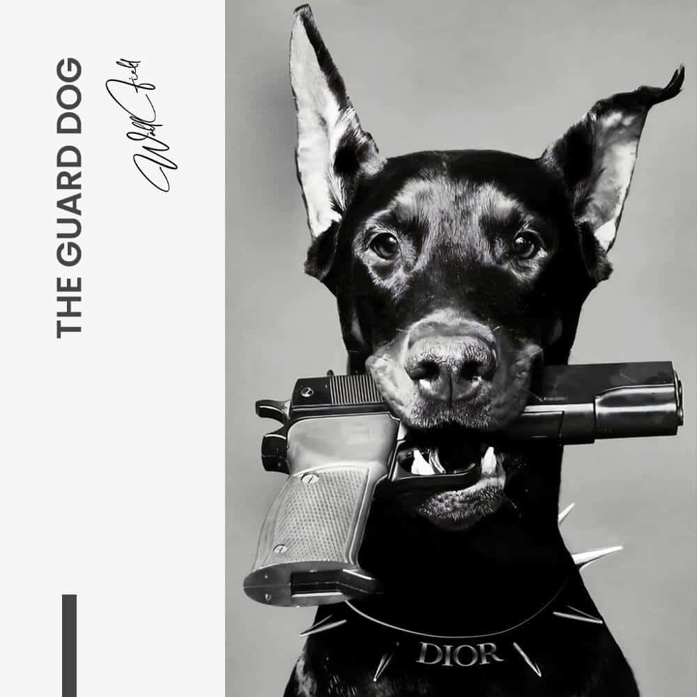 The Guard Dog - Glas