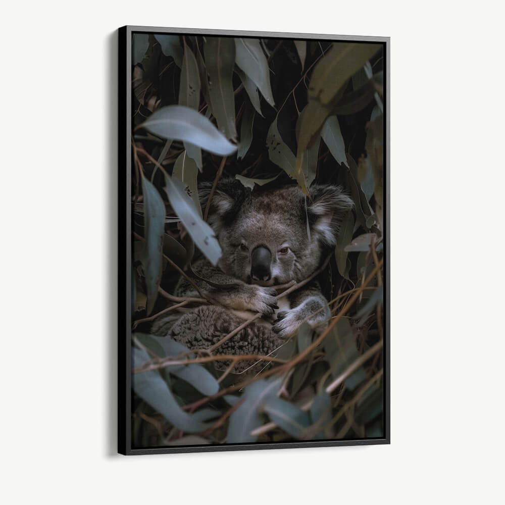 "Eucalyptus Dreams"